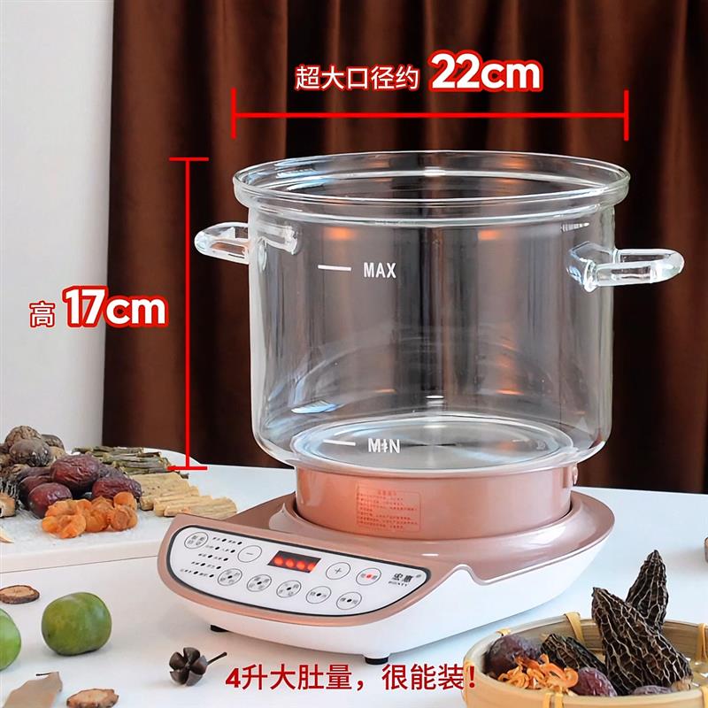 宏惠养生壶4l升特大容量家用多功能全自动煲汤锅煎熬中药炖煮一体