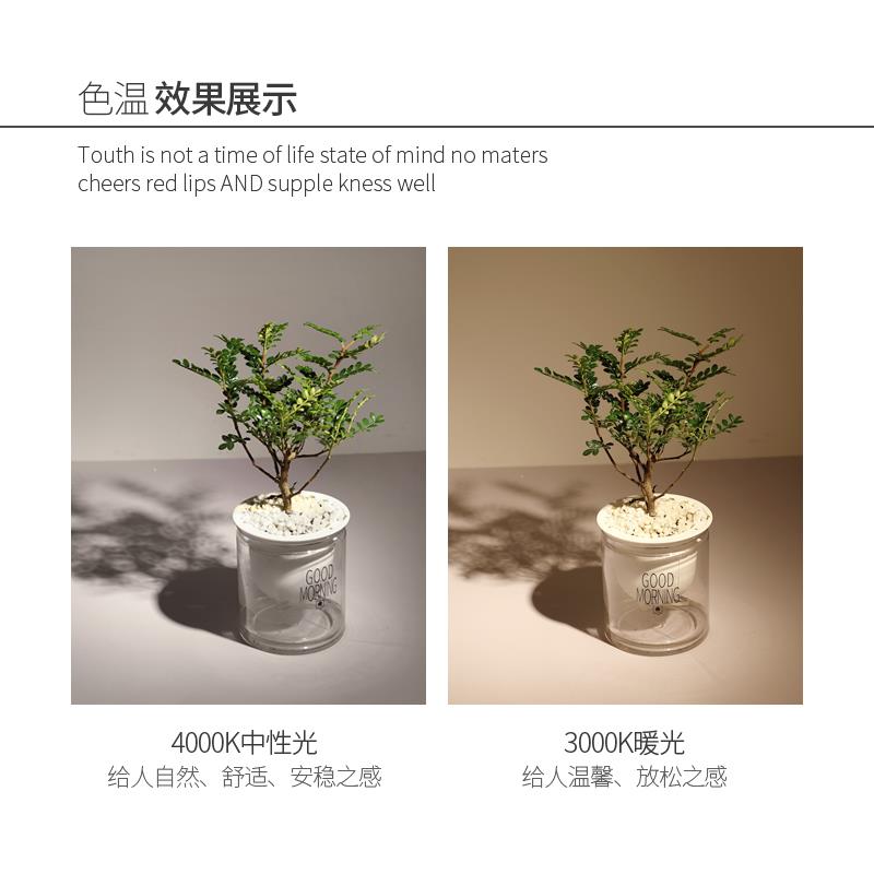 明装小射灯led天花灯 筒灯家用吸顶可调角度北欧无主灯客厅轨道灯