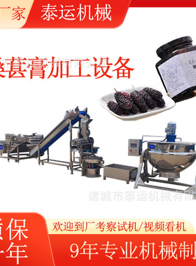 桑葚果膏加工机器木瓜膏生产线酸枣仁膏加工设备黄梨膏浓缩流水线
