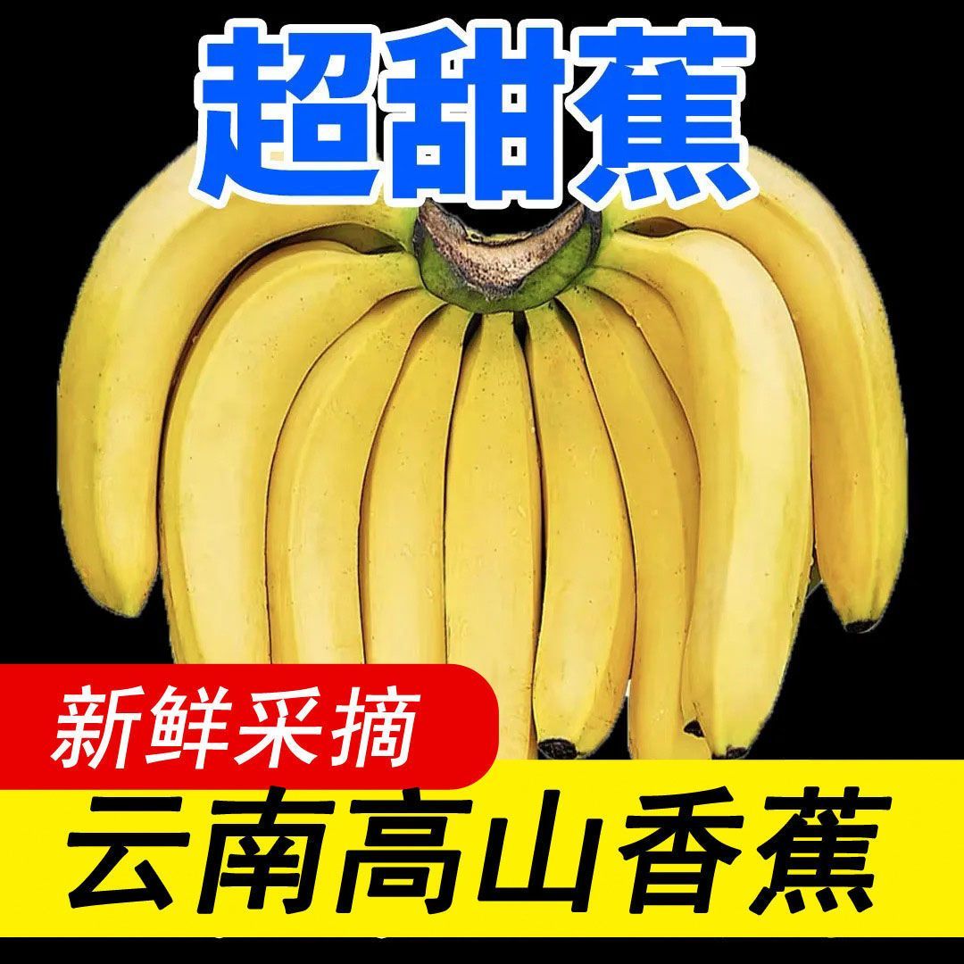 云南新鲜甜糯高山香蕉新鲜水果现摘芭蕉小米青香焦绿批发整箱包邮