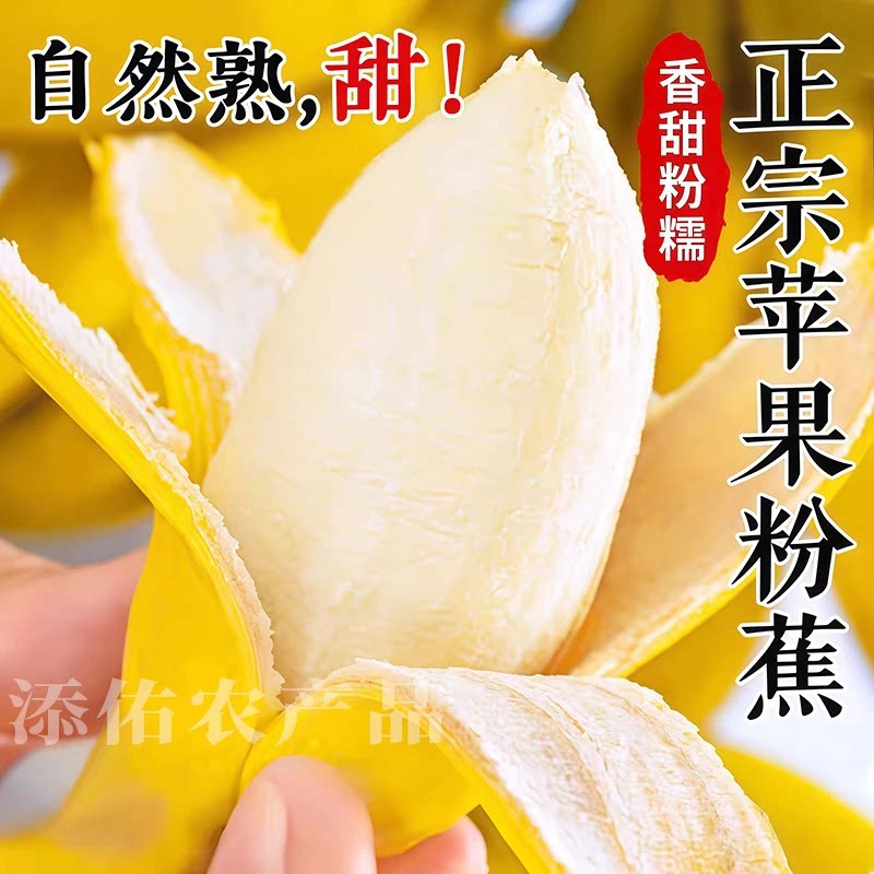 广西西贡蕉正宗香蕉新鲜水果当季苹果蕉稀有大芭蕉自然熟米蕉粉蕉