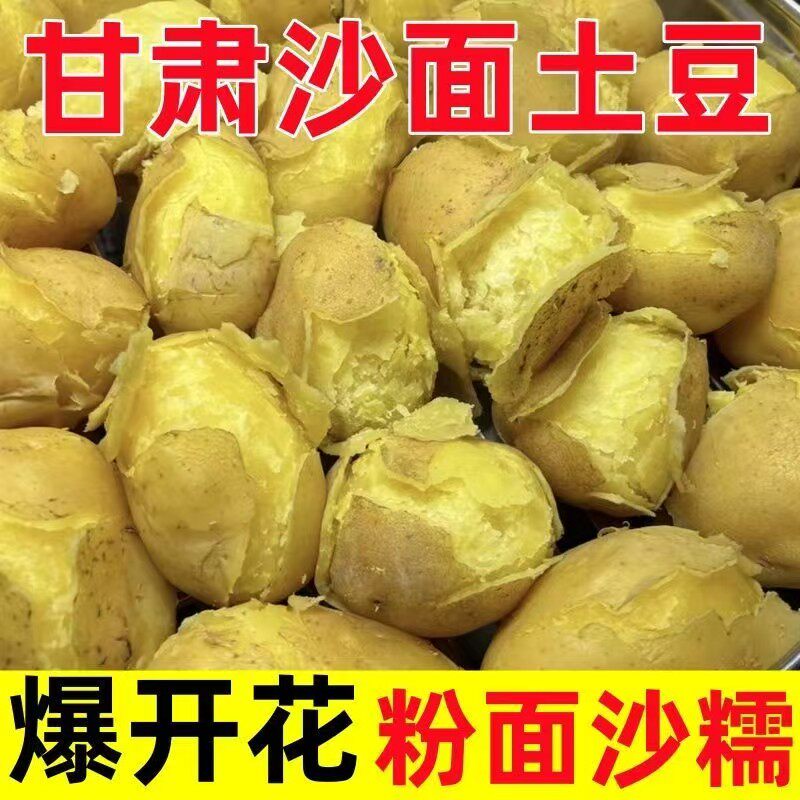 正宗甘肃定西沙面土豆新鲜洋芋