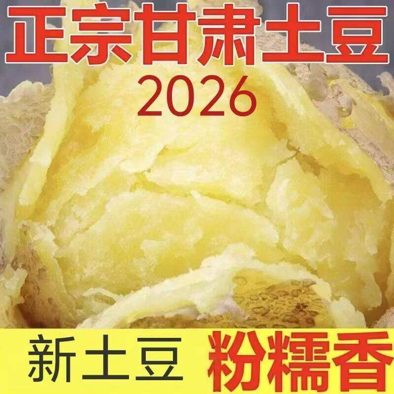 定西沙面大土豆新鲜当季整箱