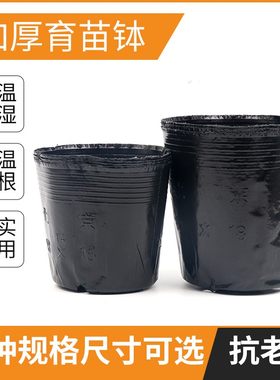 营养钵营养杯育苗杯一次性加厚黑色种植育苗盆营养袋育苗袋大小号