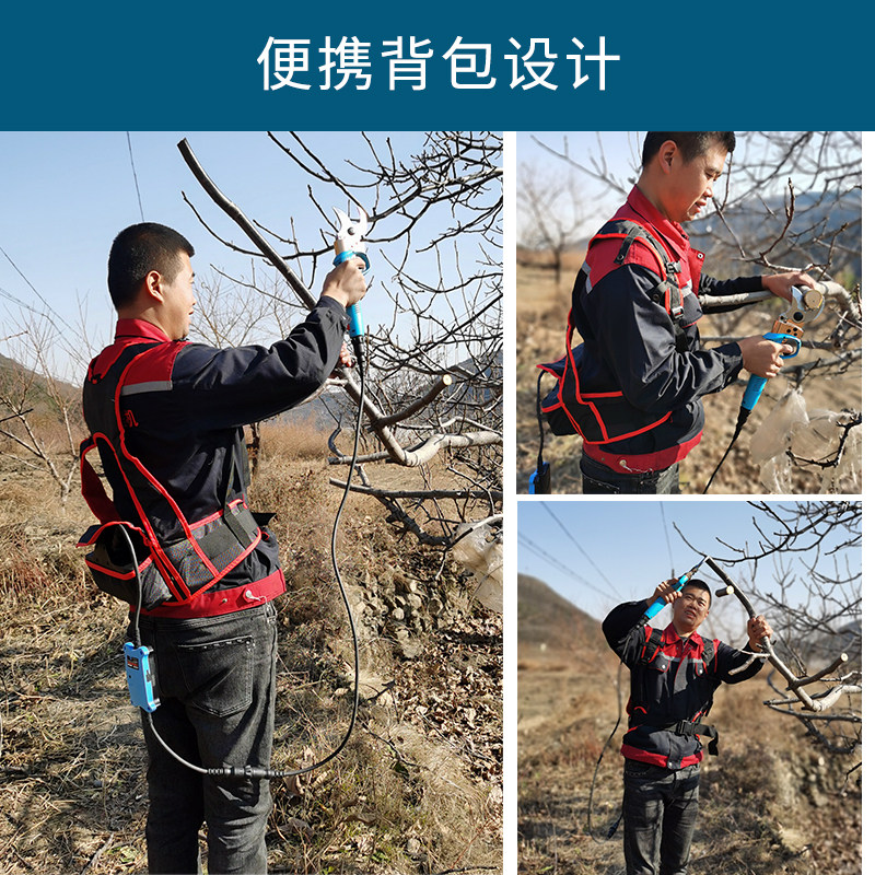 嘉航电动剪树枝剪刀修枝剪家用园林修枝省力粗枝充电式果树电剪子