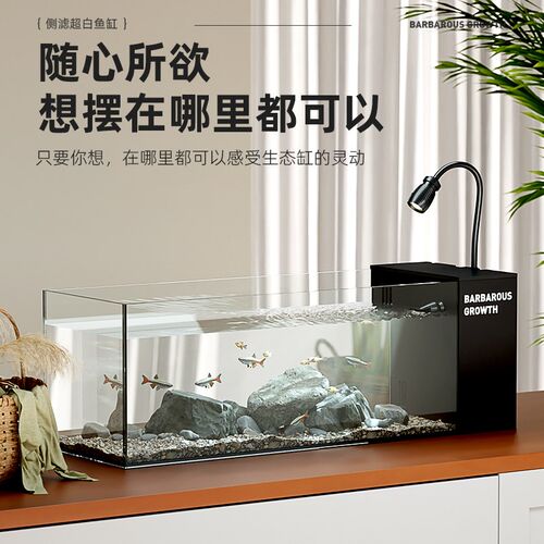 生态侧滤溪流缸造景全套2026新款小型客厅桌面鱼缸过滤制氧一体机