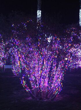 小彩灯闪灯串灯满天星灯串户外结婚新年树氛围灯装饰景观空灯带