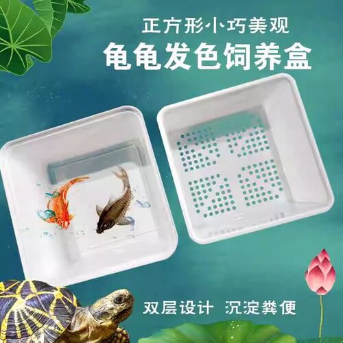 乌龟金鱼双层隔离盒养龟专用正方形盒孵化盒鱼缸内龟苗饲养多功能