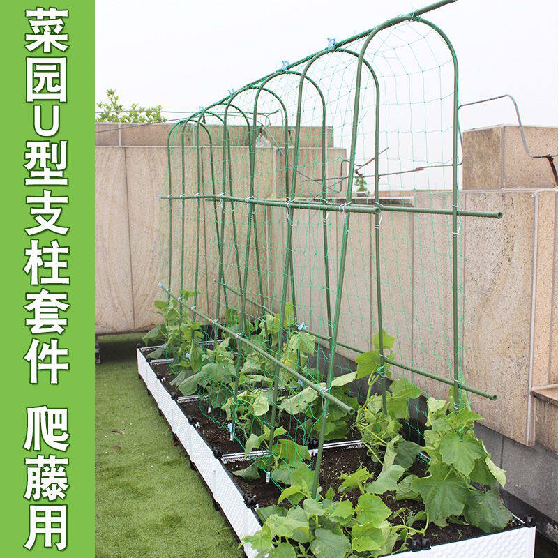 种菜爬藤架黄瓜豆角搭架架子种植葡萄百芸豆架杆植物支架攀爬藤架