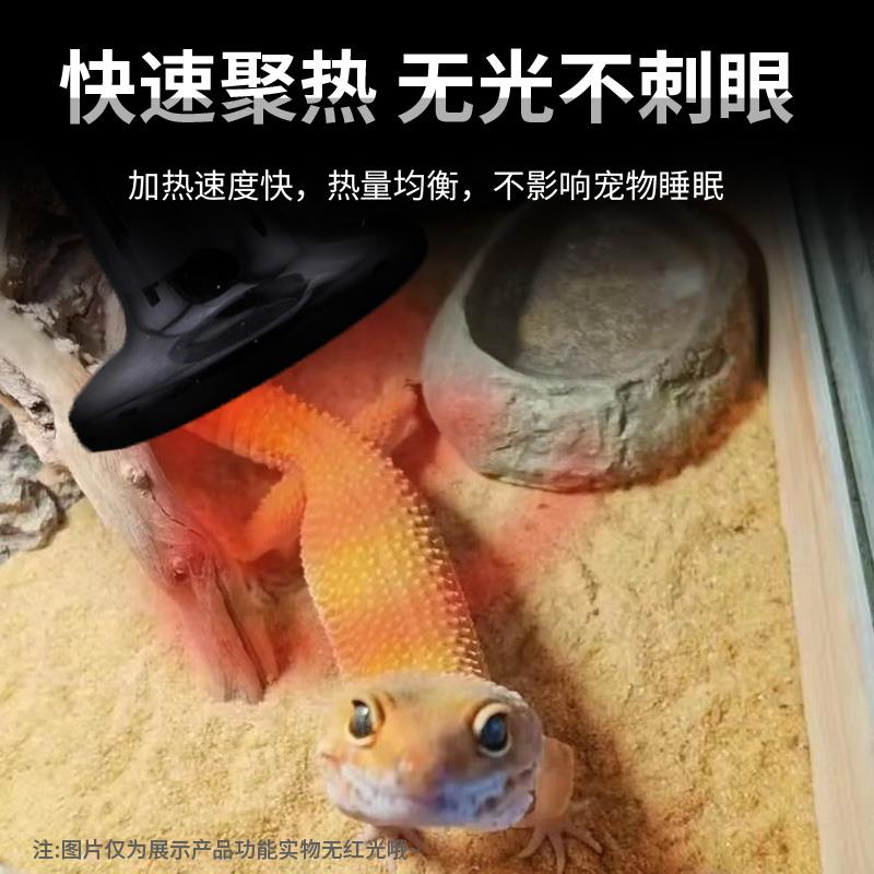宠物恒温加热灯陶瓷无光取暖芦丁鸡鹦鹉爬宠乌龟鱼缸狗笼子加热灯