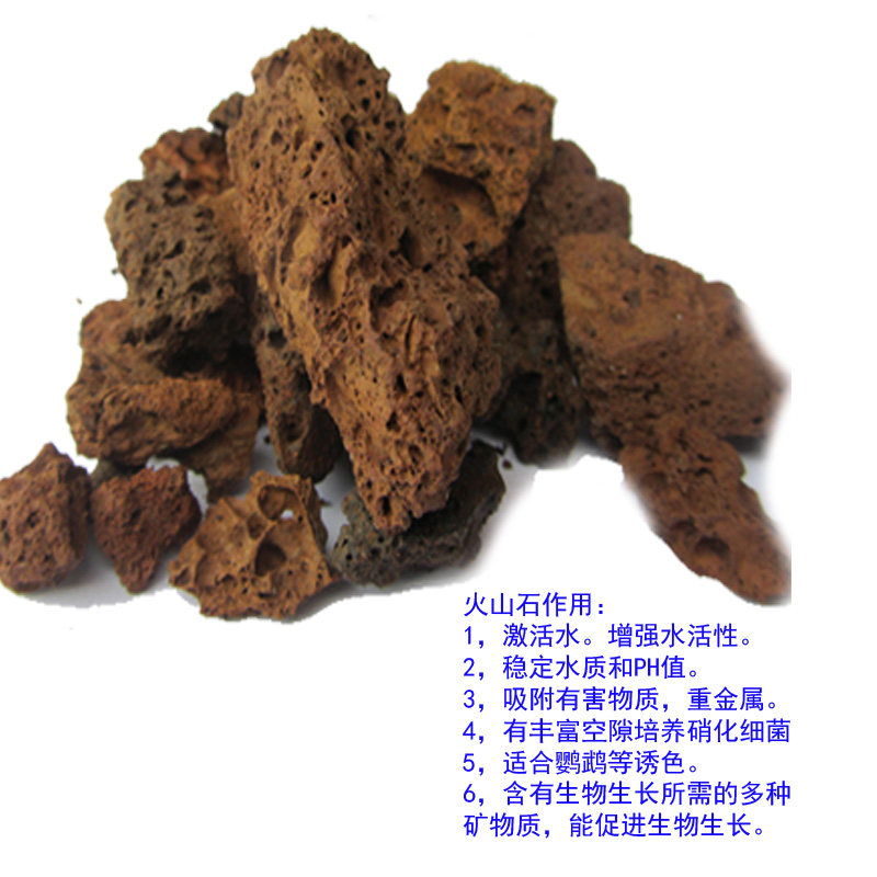 优选天然滤材麦饭石火山石珊瑚骨生蚝壳 鱼缸鱼池水族过滤材料