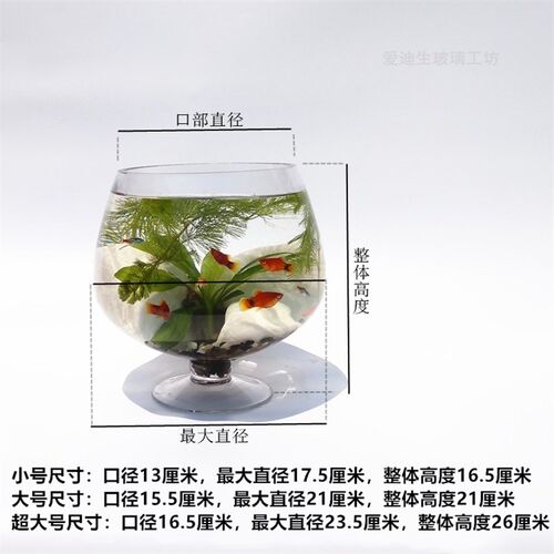 红酒杯款玻璃鱼缸 大号高脚酒杯形鱼缸超白玻璃创意鱼缸水培花瓶