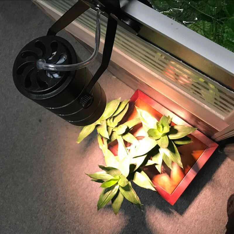 全光谱植物生长补光夹子灯发财树茎叶多肉植物花卉水草补光灯