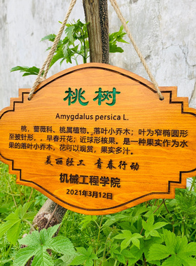 定制花草地牌树牌户外插地牌悬挂式标牌防腐实木质牌简介植物挂牌