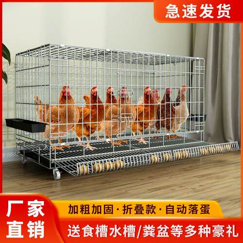 鸡下蛋的笼子折叠家用养殖加粗兔子笼鸭笼鹅笼狗笼自动滚蛋鸡笼