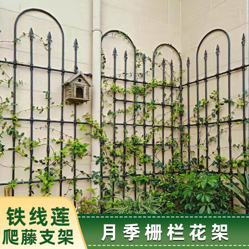 栅栏爬藤花架户外庭院架子月季铁线莲屏风花支架网格隔断篱笆藤架