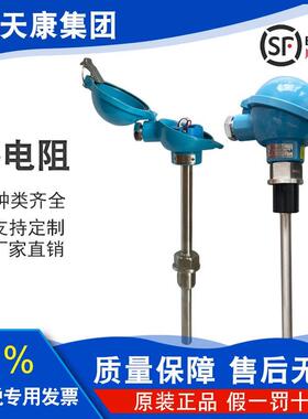 安徽天康WZP-230热电阻K型E分度铠装热电偶PT100温度传感器4-20mA