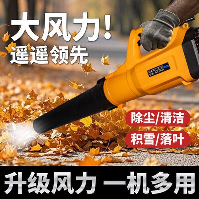 暴风机220V强力吹风机工地工业清灰除尘机大功率涡轮吹雪机鼓风机