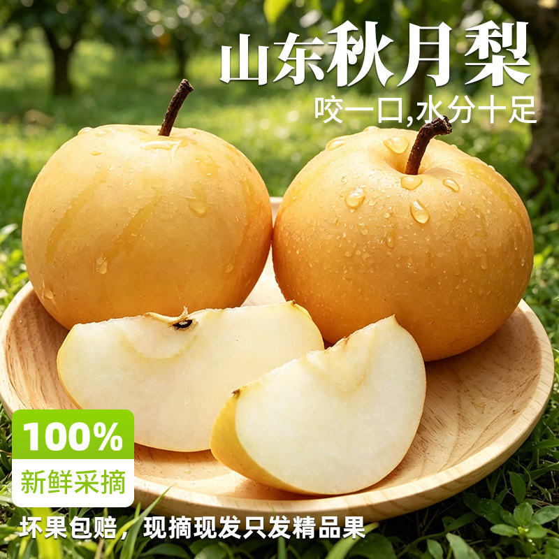 秋月梨正宗山东新鲜采摘水果现摘现发脆甜冰糖梨子当季时令整箱发