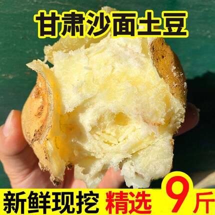正宗甘肃定西土豆沙面新鲜黄皮黄心洋芋农家新鲜现挖小土豆马铃薯