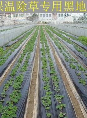 地膜农用新品单PE黑色薄膜种植育苗除草防虫保温保湿大棚加厚农膜