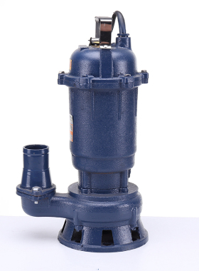 潜水泵家用220V化粪池排污泵抽水泵污水泵带浮球2寸农用水泵灌溉