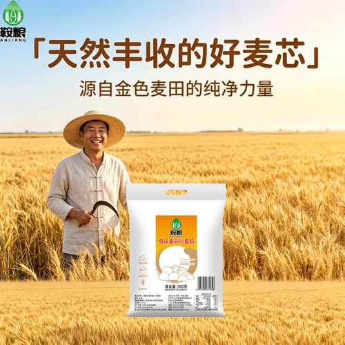 鞍粮雪花麦芯小麦粉黄金产地1斤袋装面粉家用面粉1斤500g面粉