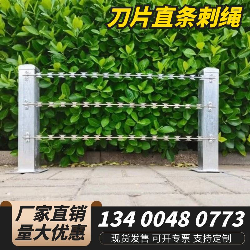 热镀锌刀片直条刺绳不锈钢直线刀片刺网围墙加高防爬网拉直刀片刺图片