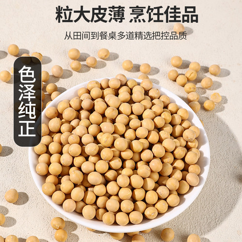 鑫鸿禾有机黄豆当季新豆大颗粒