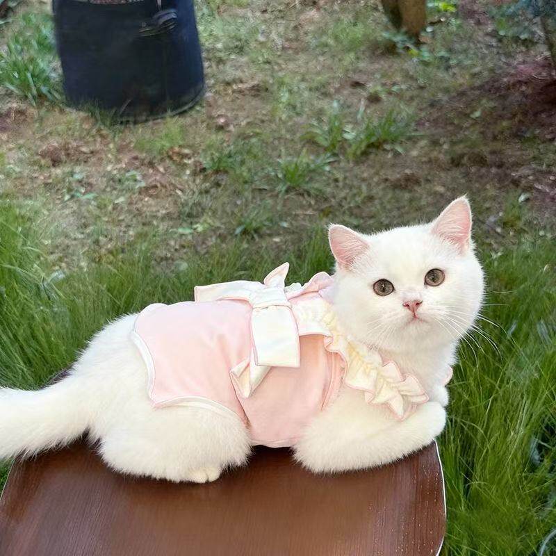 宠物秋季小狗狗护肚衣小型犬幼犬包肚睡衣猫咪泰迪四脚衣服绝育服