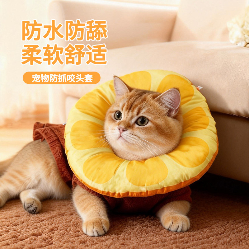 猫咪伊丽莎白圈猫围脖防舔咬头套小猫幼猫绝育不影响吃饭幼猫软圈