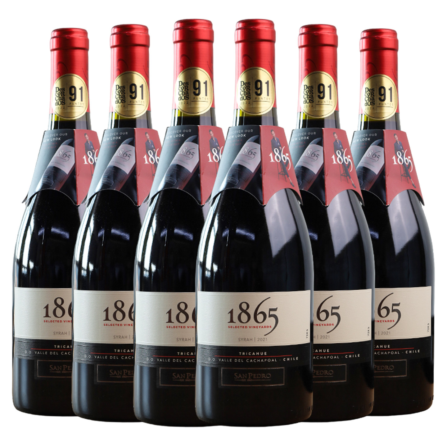 圣佩特罗1865智利原瓶进口红酒西拉干红葡萄酒750ml*6整箱装正品