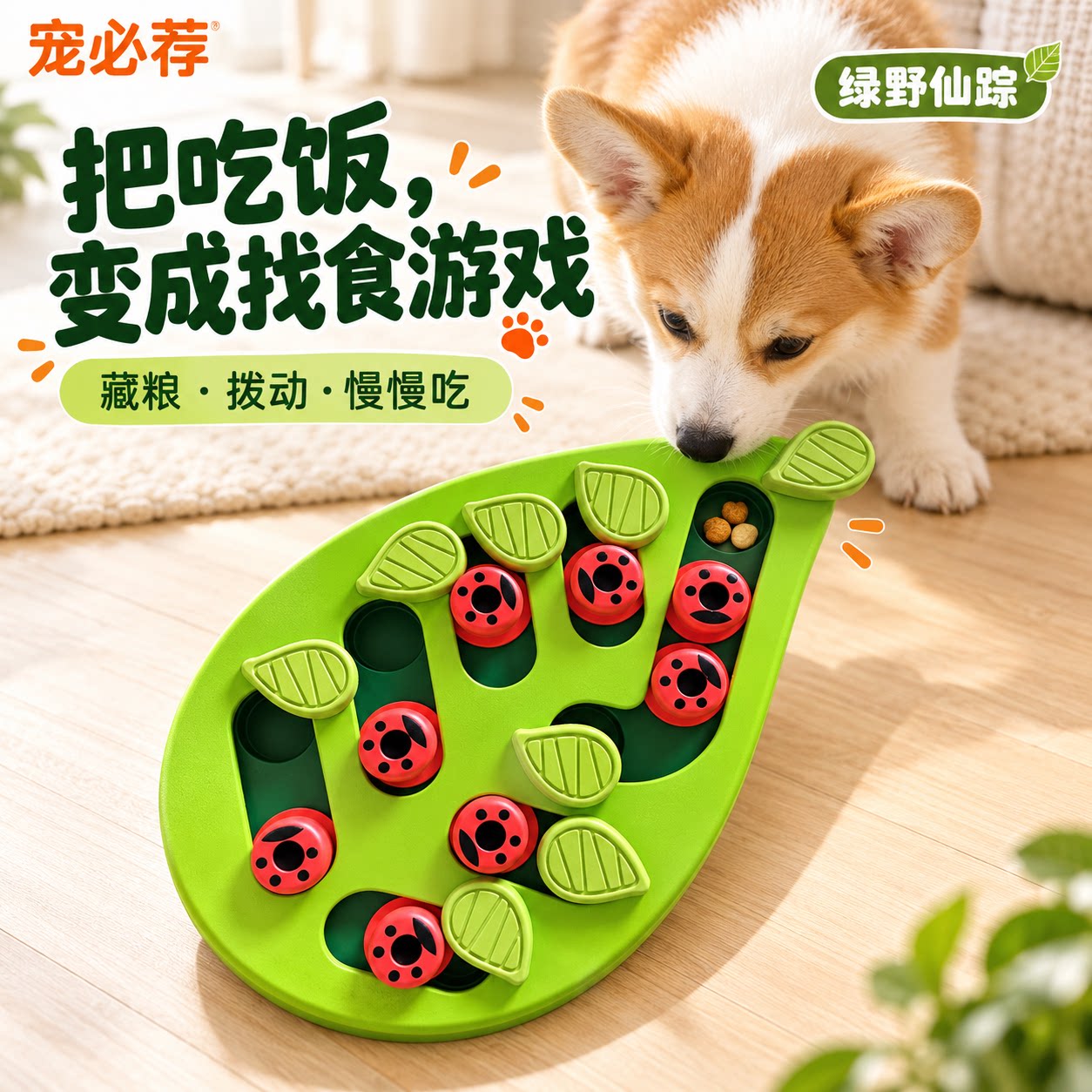 宠必荐绿野仙踪猫咪益智玩具