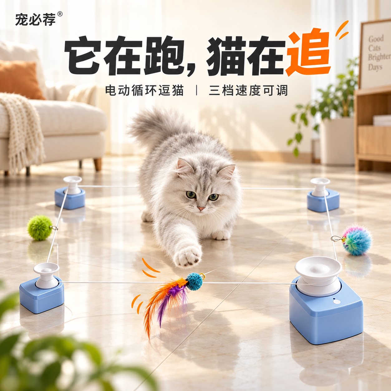 宠必荐智能猫玩具电动玩具