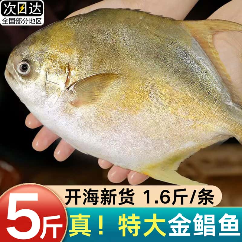 顺丰包邮青岛金鲳鱼新鲜冷冻