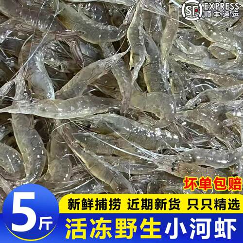 现捕野生小河虾鲜活速冻