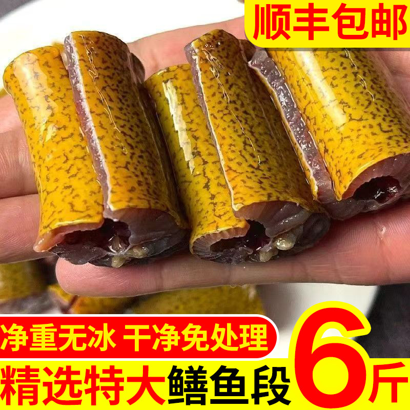 新鲜鳝鱼段6斤净重商用批发