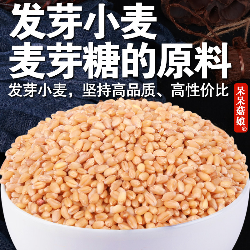 【直播专属】小麦1斤发芽小麦子粒青汁磨面粉原料干麦粒子麦芽糖