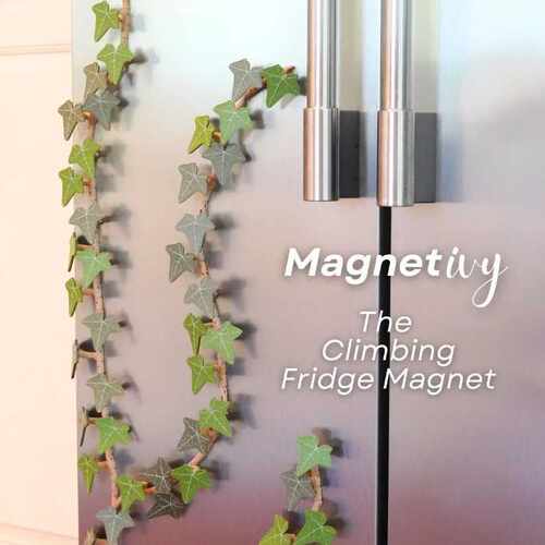 English Ivy Fridge Magnet with Articulating Stems冰箱贴