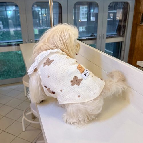 小熊序章白色蕾丝小型犬透气背心