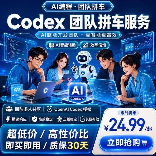 Codex team 拼车 质保30天 稳定5.5 可开票
