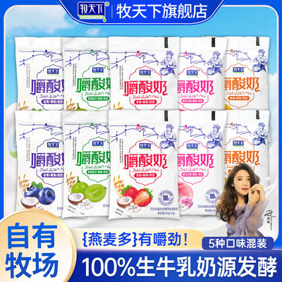 牧天下嚼酸奶10包整箱