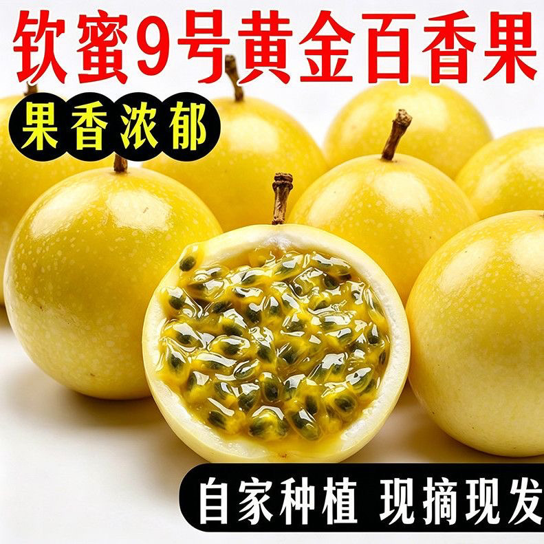 钦蜜9号黄金百香果现摘鸡蛋果图片