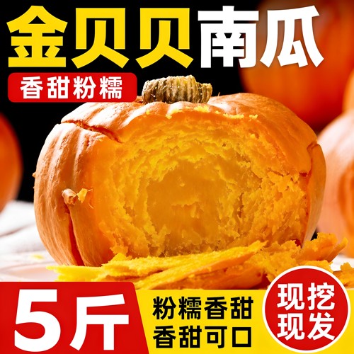 正宗农家现挖红贝贝南瓜板栗味