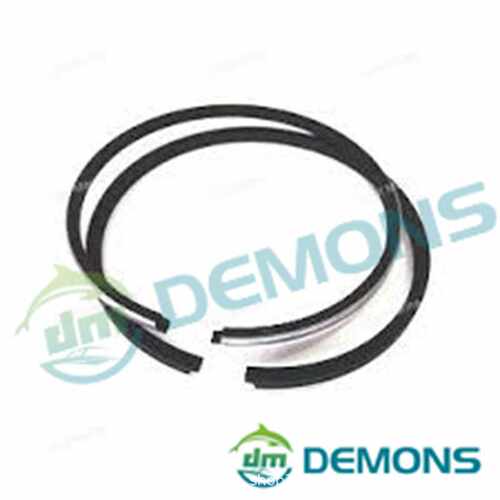 21)翟墨DEMONS舷外机船外挂机橡皮艇冲锋舟活塞环组646-11601-01