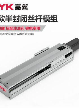 RYK重载长行程滚珠丝杆升降模组 自动化产线AGV AMR接驳平移滑台