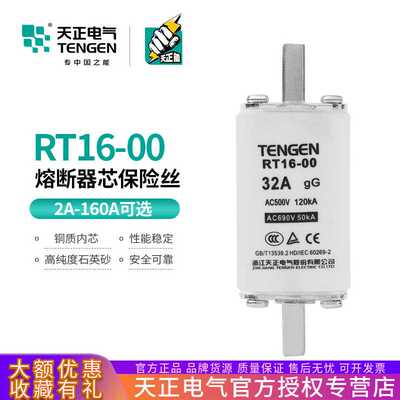 天正电气 RT16-00熔断器NT00保险丝RT36-00熔芯32A40A63A100A160A