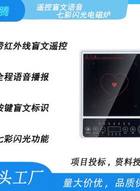 AI智能无障碍康复辅具老年人低视力盲人语音盲文闪光盲文电磁炉