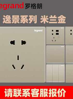 TCL罗格朗开关插座 K8逸景系列米兰金二三插座五孔插座墙壁电源插
