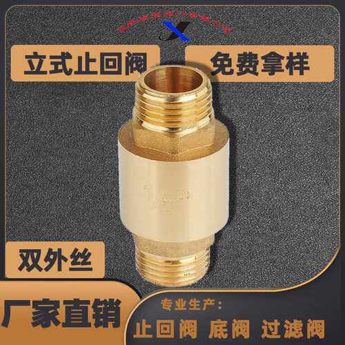直销阀门加厚耐用精密黄铜铜芯双外丝螺纹单向弹簧立式止回阀